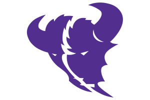 Zzzzz 1757786842img1072 — UIL Texas High School Football Teams option 291