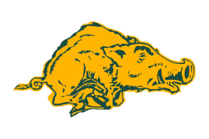 Zzzzz 1757786842img1075 — UIL Texas High School Football Teams option 293