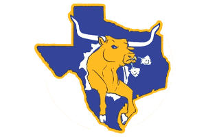 Zzzzz 1757787029img1148 — UIL Texas High School Football Teams option 369