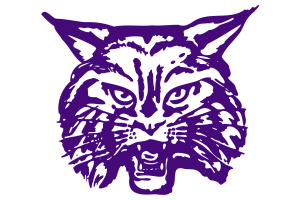 Zzzzz 1757787029img1149 — UIL Texas High School Football Teams option 370