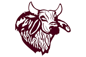 Zzzzz 1757787079img1164 — UIL Texas High School Football Teams option 386