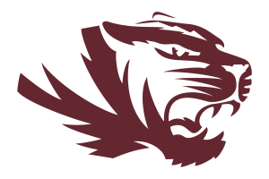 Zzzzz 1757787129img0654 — UIL Texas High School Football Teams option 437