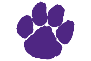 Zzzzz 1757787131img0177 — UIL Texas High School Football Teams option 474