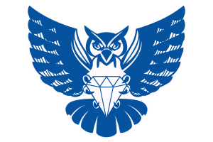 Zzzzz 1757787131img1267 — UIL Texas High School Football Teams option 486