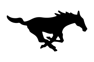 Zzzzz 1757787131img1268 — UIL Texas High School Football Teams option 487