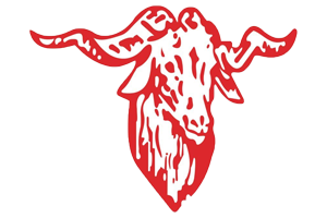 Zzzzz 1757787131img1271 — UIL Texas High School Football Teams option 490