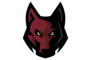Zzzzz 1757787132img0576 — UIL Texas High School Football Teams option 496