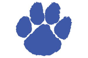Zzzzz 1757787132img1291 — UIL Texas High School Football Teams option 508