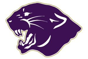 Zzzzz 1757787161img1312 — UIL Texas High School Football Teams option 529