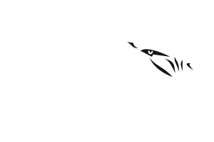 Zzzzz 1757787162img1334 — UIL Texas High School Football Teams option 555