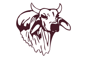 Zzzzz 1757794813img1351 — UIL Texas High School Football Teams option 570