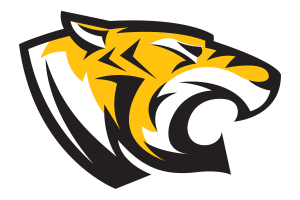 Zzzzz 1757794815img0347 — UIL Texas High School Football Teams option 607