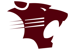 Zzzzz 1757794819img1370 — UIL Texas High School Football Teams option 683