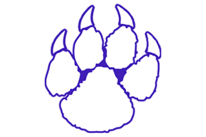 Zzzzz 1757794821img1425 — UIL Texas High School Football Teams option 739