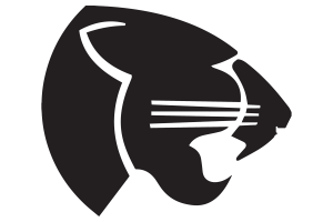 Zzzzz 1757795933img0170 — UIL Texas High School Football Teams option 833