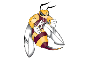 Zzzzz 1757795934img1498 — UIL Texas High School Football Teams option 864