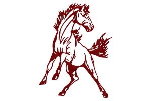 Zzzzz 1757895369img1638 — UIL Texas High School Football Teams option 987