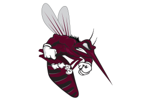 Zzzzz 1757895371img0254 — UIL Texas High School Football Teams option 1018