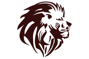 Zzzzz 1757896534img1729 — UIL Texas High School Football Teams option 1077
