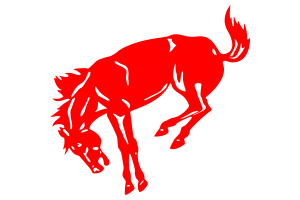 Zzzzz 1757896921img0163 — UIL Texas High School Football Teams option 1115
