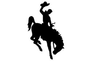 Zzzzz 1757898631img1849 — UIL Texas High School Football Teams option 1196