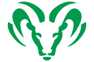 Zzzzz 1757899443img0229 — UIL Texas High School Football Teams option 1215