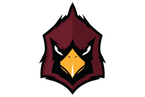 Zzzzz 1757906964img1982 — UIL Texas High School Football Teams option 1331