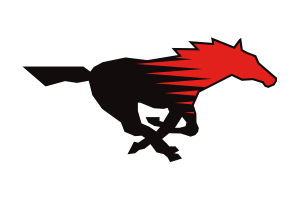Zzzzz 1757906964img1991 — UIL Texas High School Football Teams option 1338