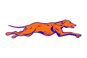 Zzzzz 1757906965img2008 — UIL Texas High School Football Teams option 1358