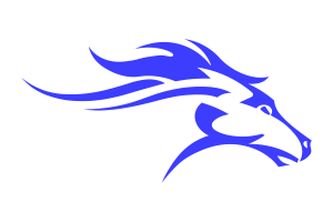 Zzzzz 1757906965img2009 — UIL Texas High School Football Teams option 1359
