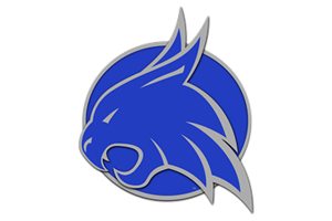 Zzzzz 1757906965img2011 — UIL Texas High School Football Teams option 1361
