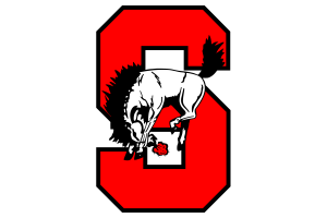 Zzzzz 1757906965img2016 — UIL Texas High School Football Teams option 1365