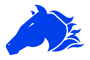 Zzzzz 1757909241img2158 — UIL Texas High School Football Teams option 1501
