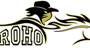 Zzzzz 1770476868img3300 — UIL Texas High School Football Teams option 1547