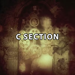 Csec — Lucy bedroque - C option 4