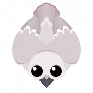 Pigeon — Roams.io Rares option 37