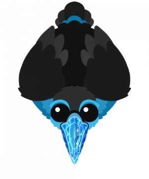 Toucan5 — Roams.io Rares option 41