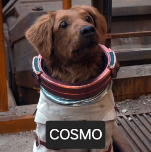Zzzzz 17222868399b9fd5b61473711eb82fa35191ed62f08d Guardians Cosmo2xrsocialw600 — ALL MCU CHARACTERS 2024 option 90