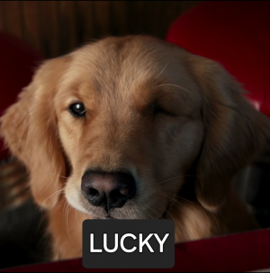 Zzzzz 1722291803luckypizzadog — ALL MCU CHARACTERS 2024 option 280