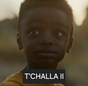 Zzzzz 1722294418tchallaiiearth 199999fromblackpantherwakandaforever001 — ALL MCU CHARACTERS 2024 option 427