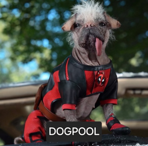Zzzzz 1732581756dogpoolfirstlook — ALL MCU CHARACTERS 2024 option 106