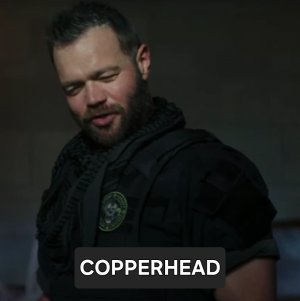 Zzzzz 1739706332copperheadinfobox — ALL MCU CHARACTERS 2024 option 88