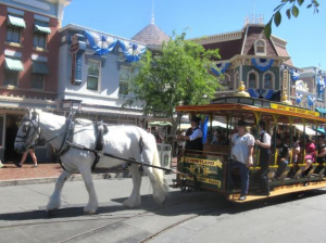 Horse Drawn Carriage — All Disneyland Resort Attractions option 29