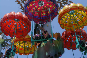 Jellyfish — All Disneyland Resort Attractions option 36