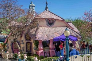 Minnies House — All Disneyland Resort Attractions option 55