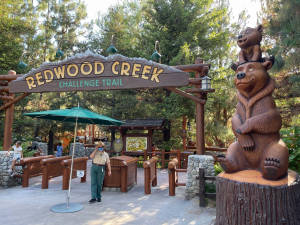 Redwood Creek — All Disneyland Resort Attractions option 69