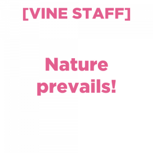 Vinestaff — PHIGHTING! Phinisher Lines option 19