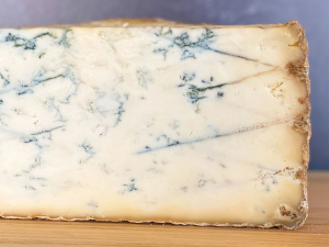 Sticheklton — Every cheese because why not option 51
