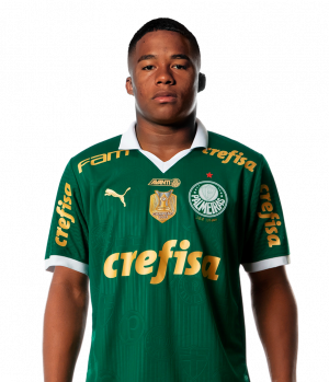 0014endrick — Melhores Jogadores do Brasileirão 2024 option 5