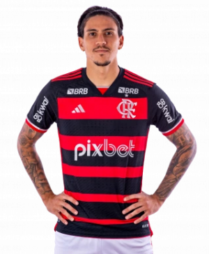 Melhores Jogadores do Brasileirão 2024 — option 30